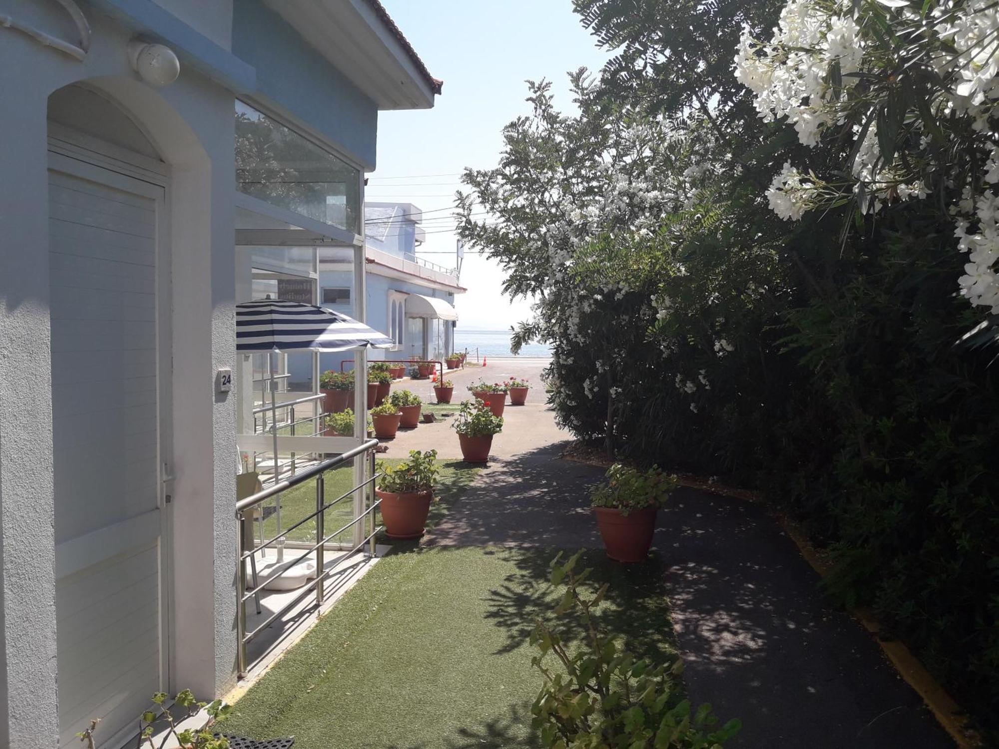 Homely Studios Chios Town Bagian luar foto